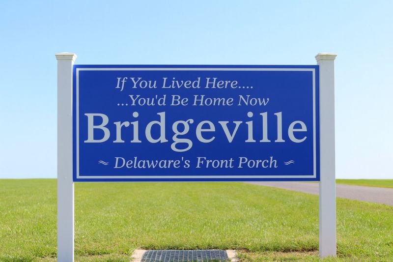 Best Shower Installation pros in Bridgeville, DE