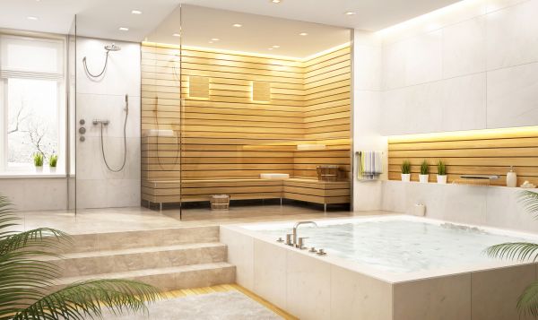 Steam Shower Repair